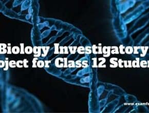 biology investigatory project for class 12