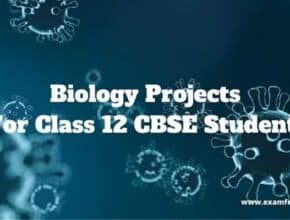 biology-projects-for-class-12