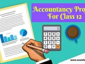 accountancy-project-for-class-12