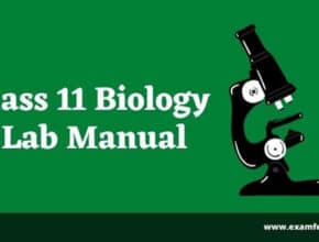 biology-practical-class-11
