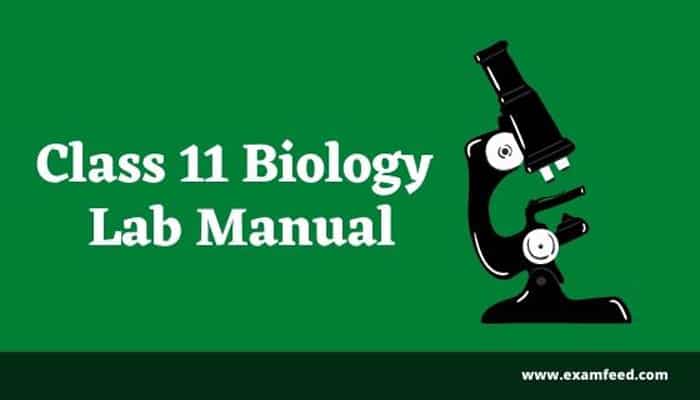 biology-practical-class-11