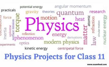 physics projects for class 11